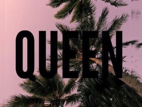 Catrina Amanda pornographic star galleries