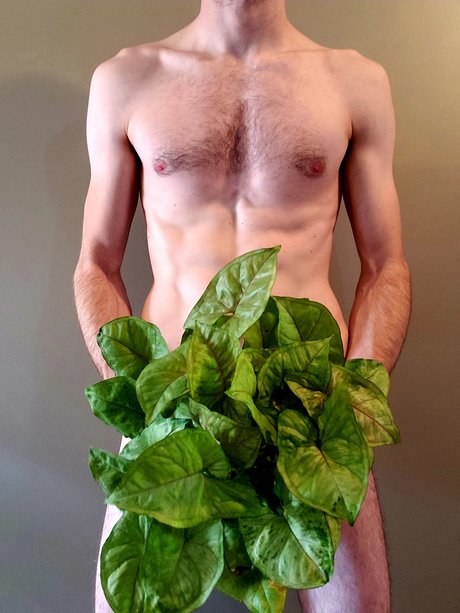 _OG Big Tree_ hot actress galleries