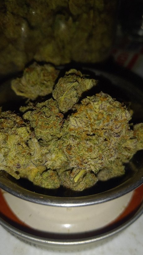 Donalddigbick pornographic star picture