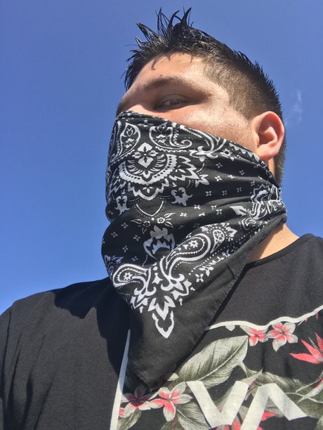 FLVA804boi pornographic star galleries