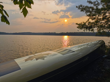 Fur N Foreskin sex star gallery