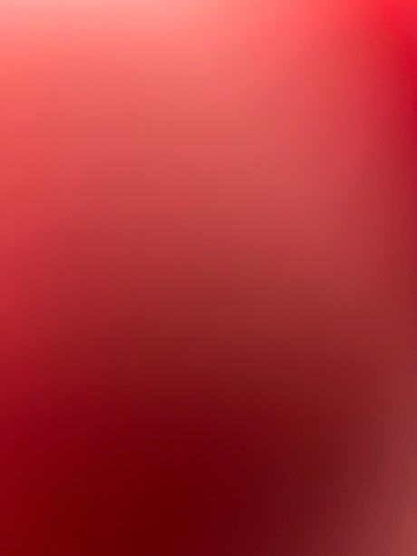 Jason Hollander star exclusive picture