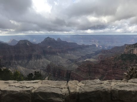 Madame Mousey pornographic actress gallery