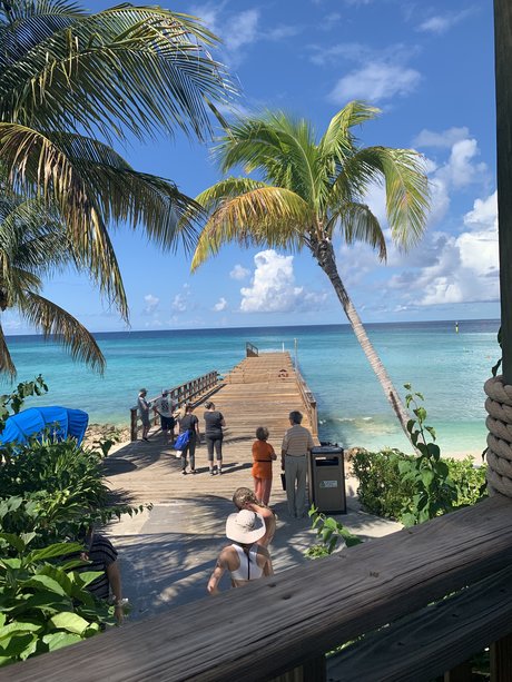 Willis star exclusive gallery