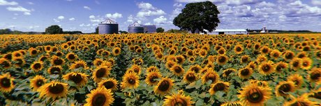 makenzie_ pornstar top picture