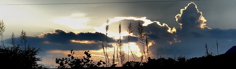 Matt Hollander pornstar best gallery