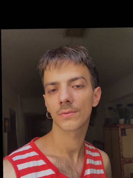 faq star beautiful photos