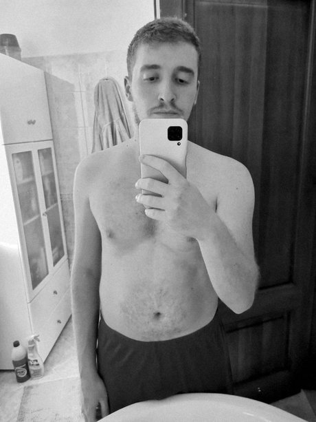 Hamtaro model hd archive