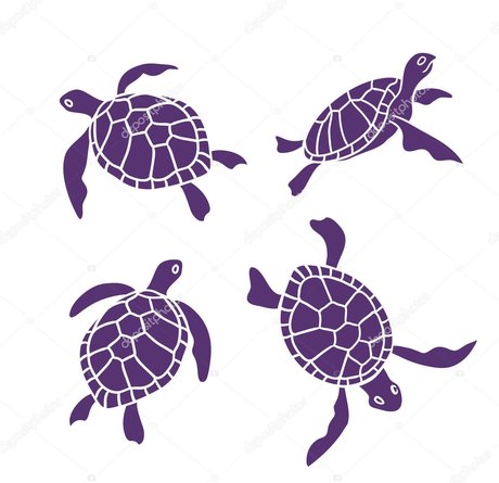 Riley Redding star hot images