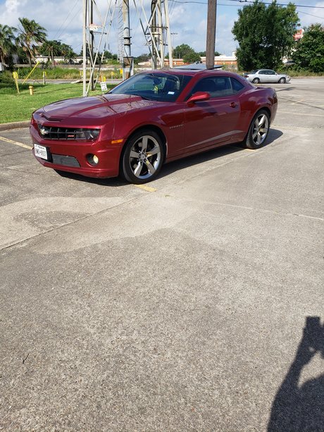 Mrbzx10r pornstar perfect pic