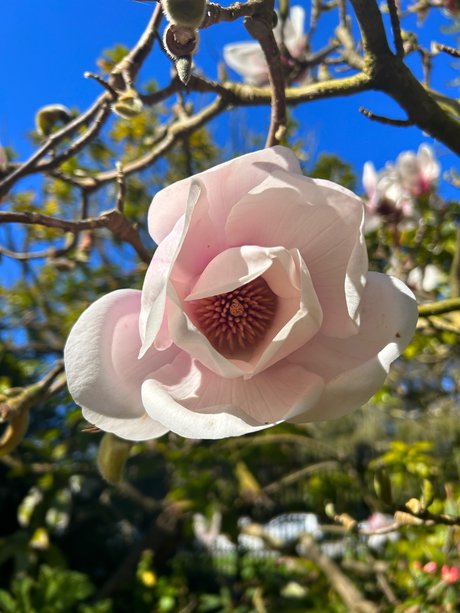 Jayla Sweet star nudes archive