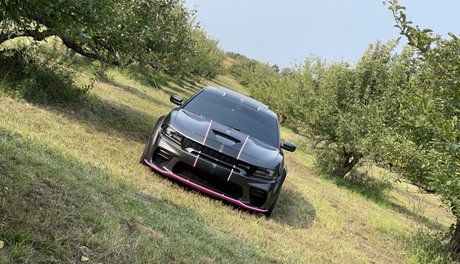 Jon VIP_ free star galleries