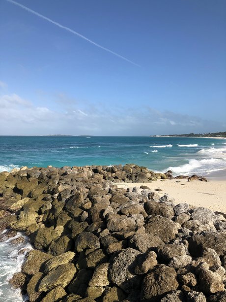 Robert Banks_ hot actress gallery