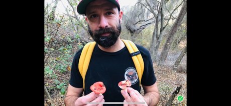 Millo pornstar perfect archive