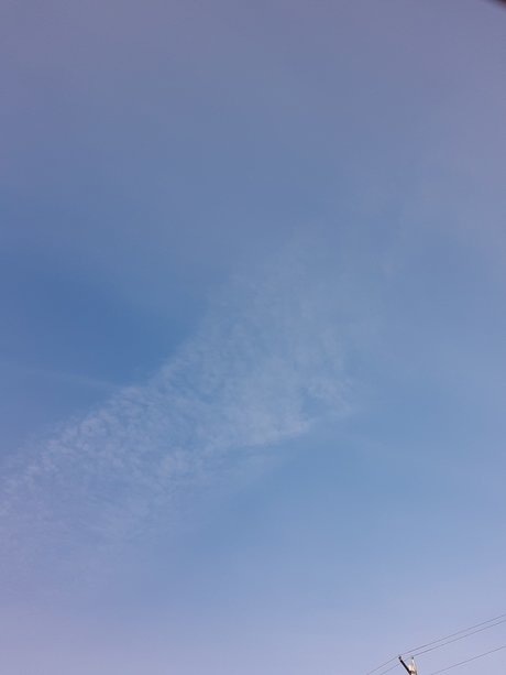 David Wilson pornstar erotic pictures