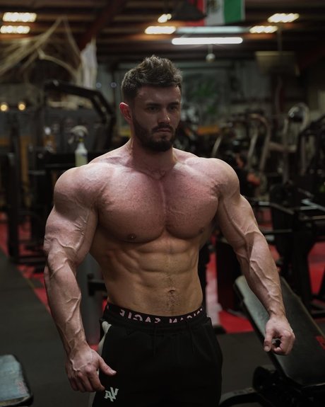 Mike Oxlong hot pornstar galleries