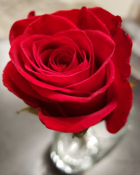 Micki Rayne model hot images