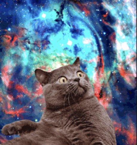 Shanikua top pornstar image