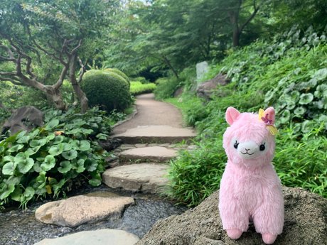 _Mai Hakoiri sexy model picture