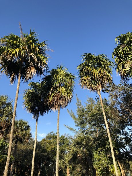 Aaron Belman nudes pornstar photo