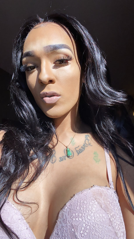 Amanimitchell porn star image