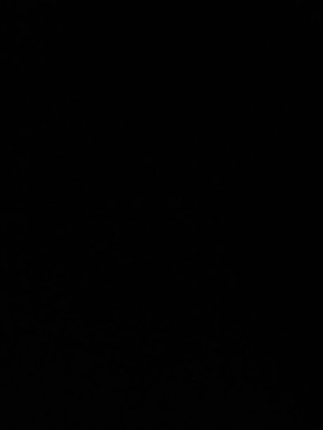 User202498 star top galleries