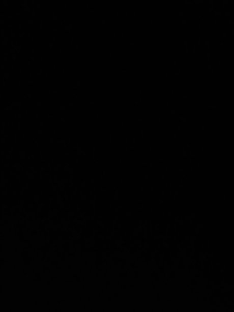 User202498 model archive