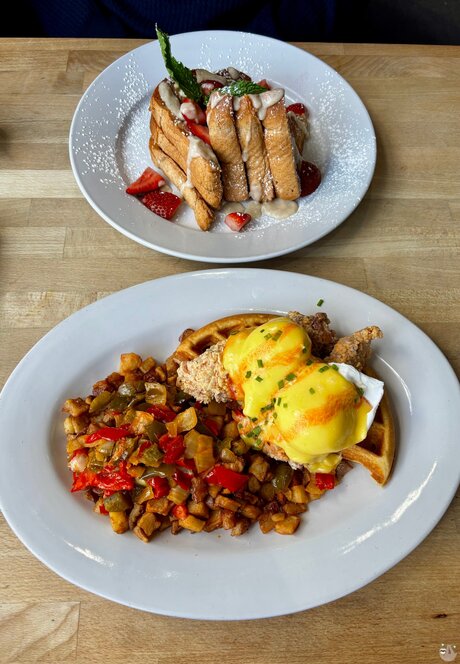 Sinful Sloth Slut she her_ high quality star pics