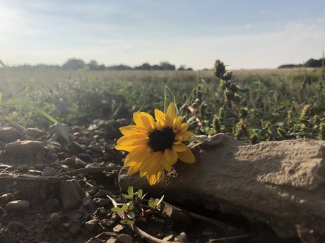 whore wife onlyfans beautiful xxx pic