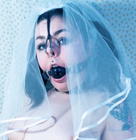 Virginia Dentata model art image