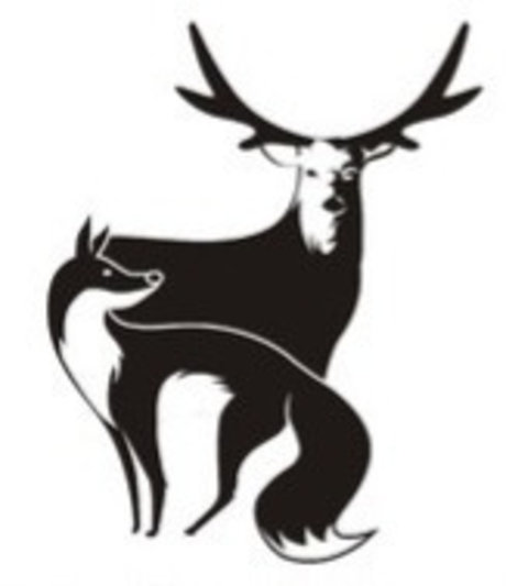 Hotwife Vixen pornstar beautiful gallery