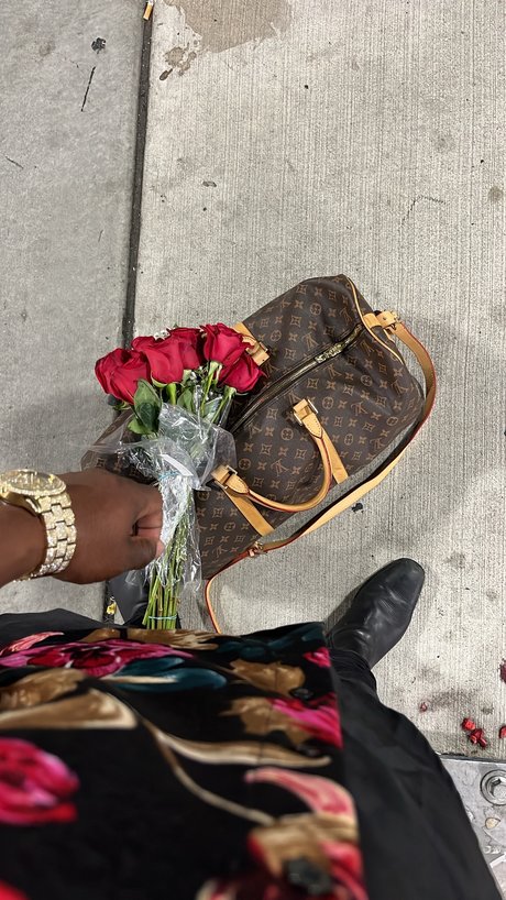 Dagga_ hd star photos