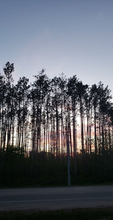 Alli Rose model adult pic