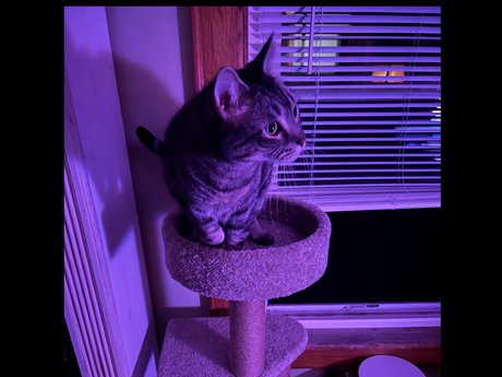 Timelordgwp pretty star picture