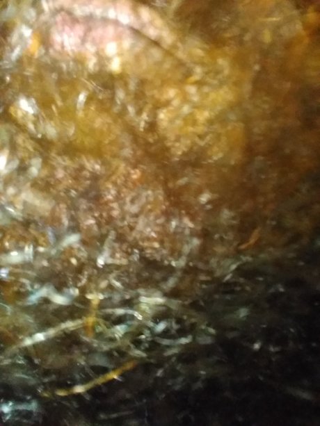 Keychawn nice actress galleries