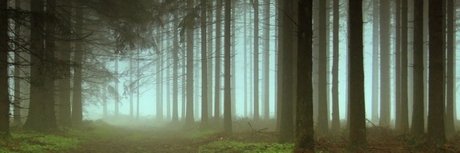 Zexion006 xxx model picture