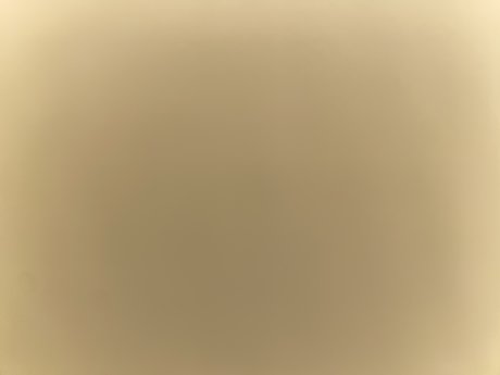 princessst porn actress image