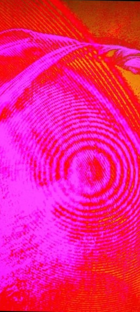 Reginald Regionz sexy model photos