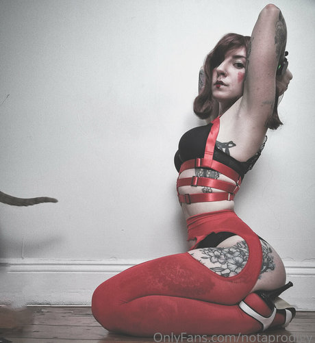 Notaprodigy star perfect pics