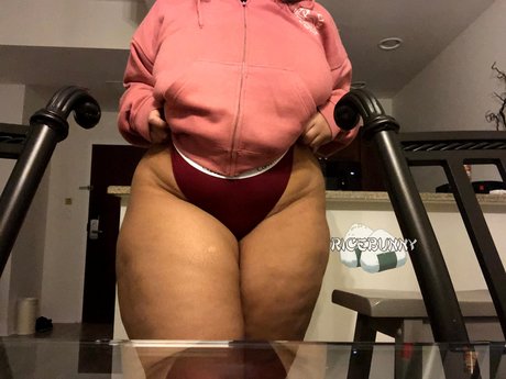 Ricebunny star archive