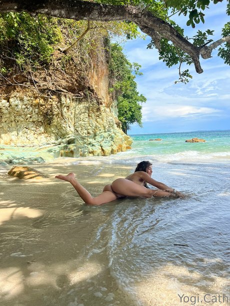 van life onlyfans art nude pictures