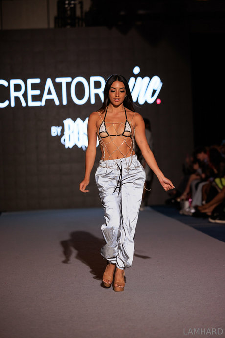 Lamhard model perfect images