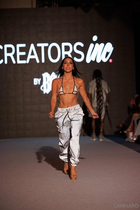 Lamhard model pretty picture