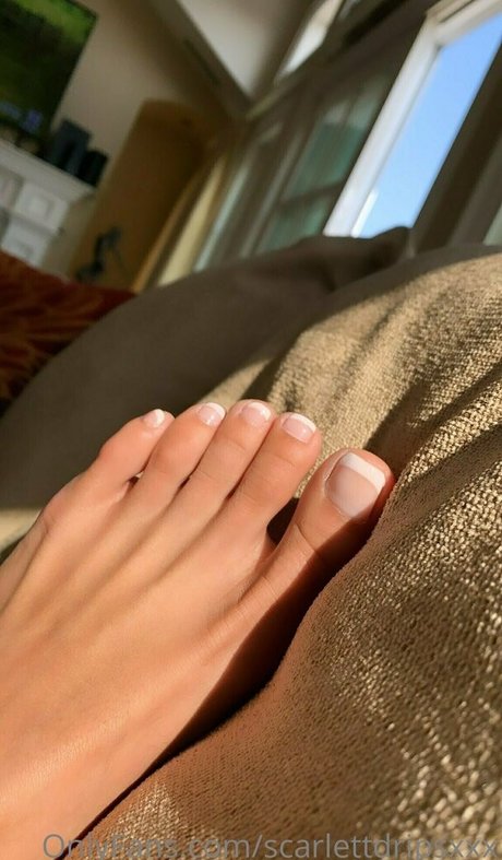 shakirabonita actress pictures