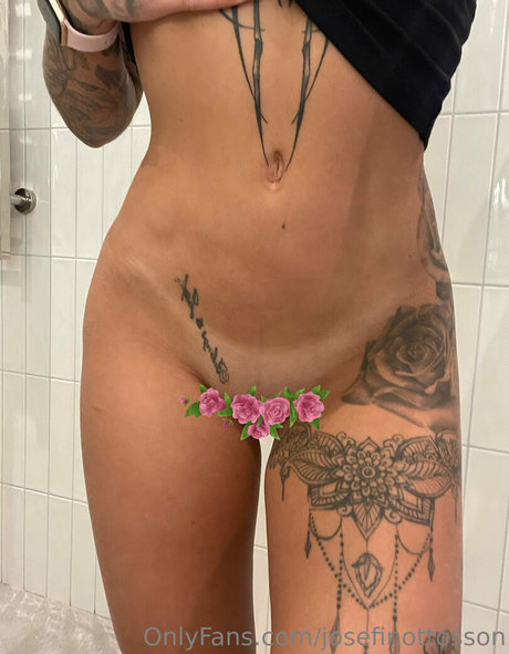 Josefin Ottosson perfect star picture