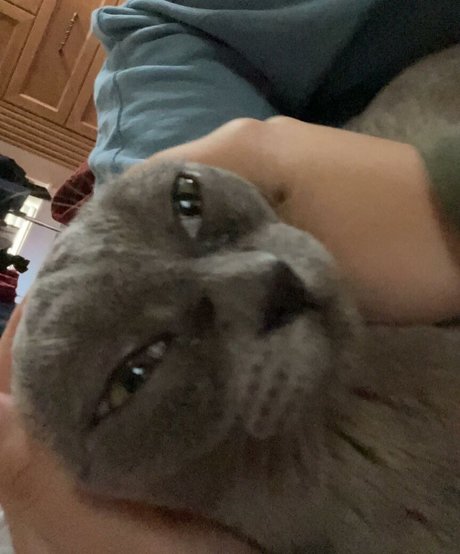 close up pussy onlyfans hot image