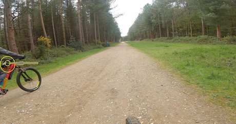 ann antics high quality star img