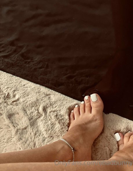 ebadbunny Profile pic