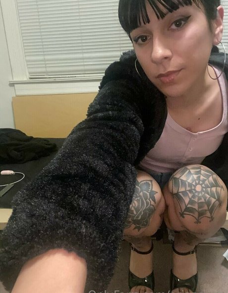 ariaaaxxx star hd img