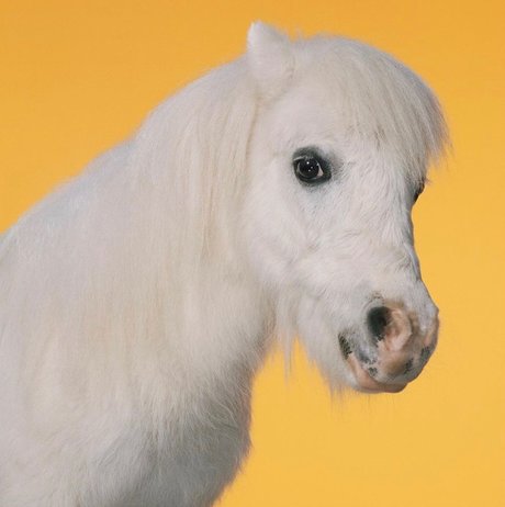 _U N I C O R N_ best actress img